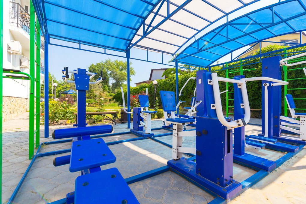 Фото Рябинушка