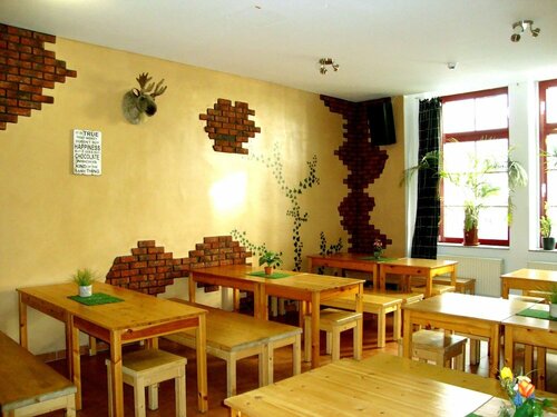 Гостиница Sleepy Lion Hostel, Youth Hotel & Apartments Leipzig в Лейпциге