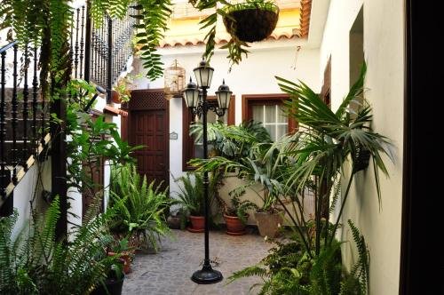 Фото Hotel Rural Villa Hermigua