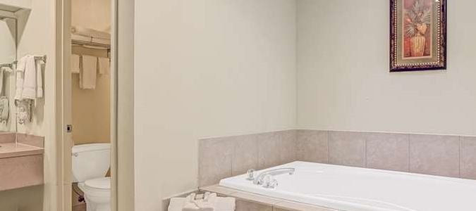 Фото Hotel South Tampa & Suites