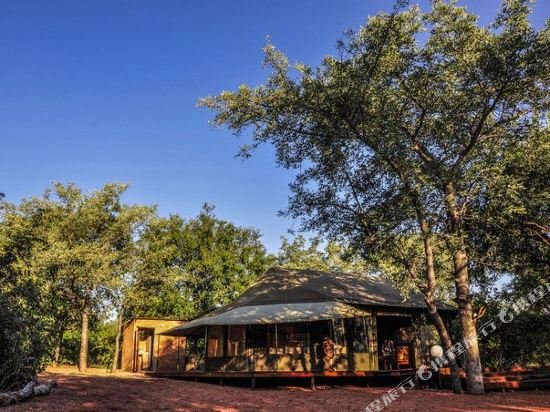 Фото Iphofolo Lodge