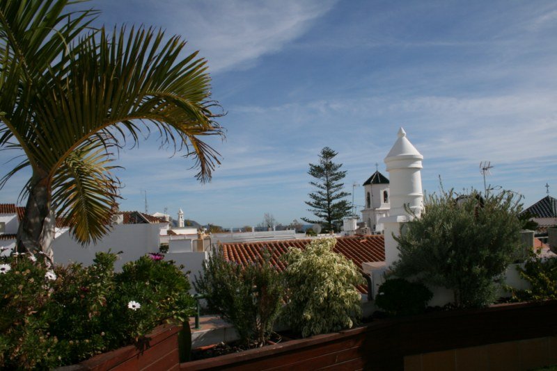 Фото Plaza Cavana