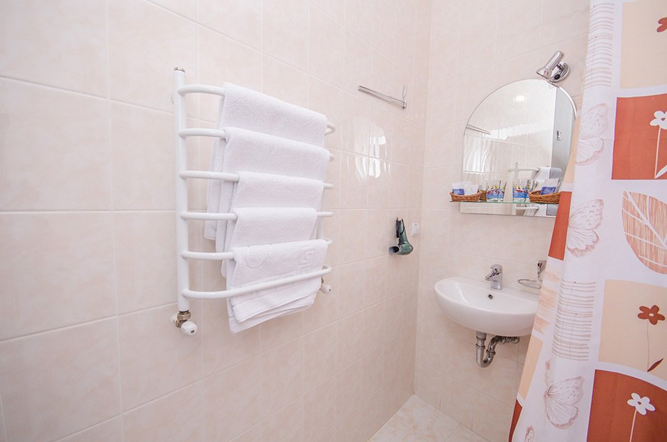 Фото Дельфин