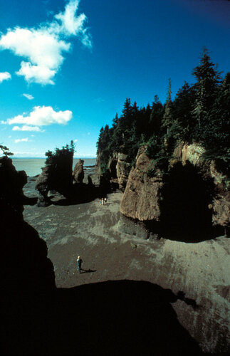 Внешний вид отеля Crowne Plaza Moncton-Downtown, an Ihg Hotel в Монктоне, фото 4