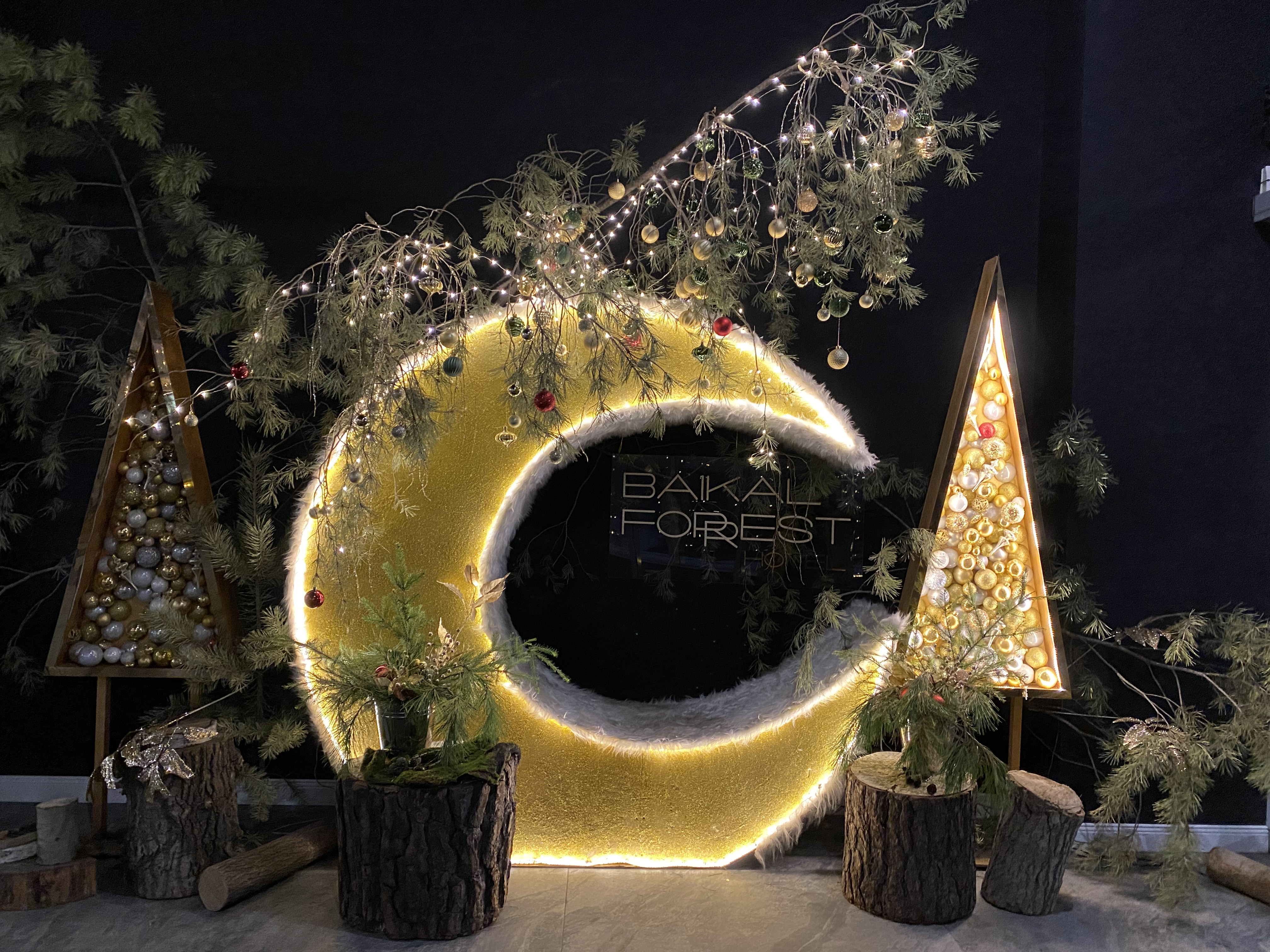 Фото Baikal Forest Hotel