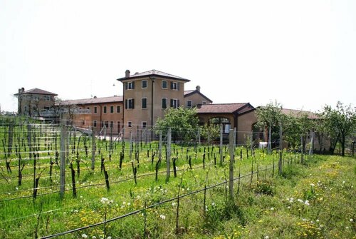 Гостиница Bio Agriturismo Vojon