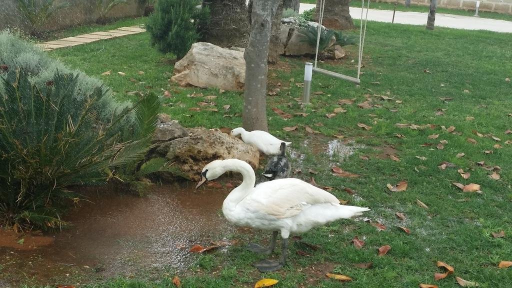 Фото Agriturismo Santa Croce