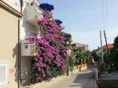 Гостиница Apartments Emma в Биограде-на-Мору