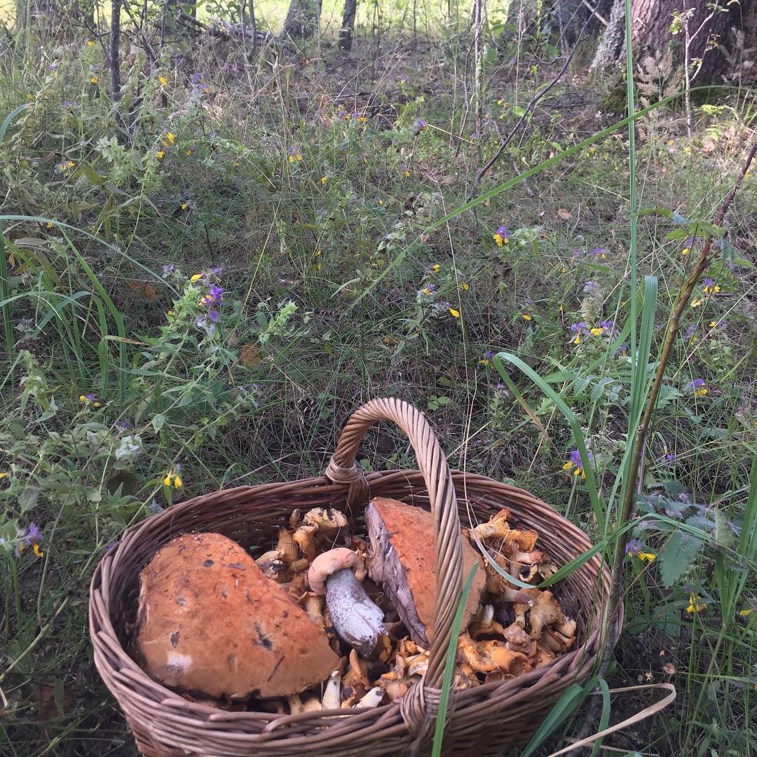 Фото Вазуза Кантри Клаб