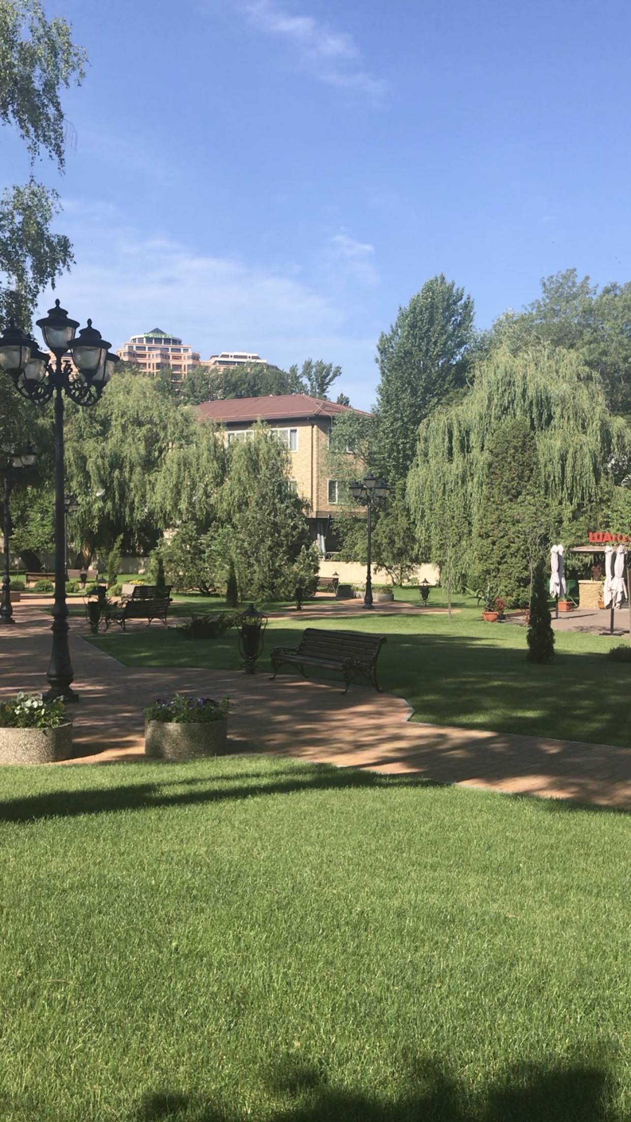 Фото Марсель