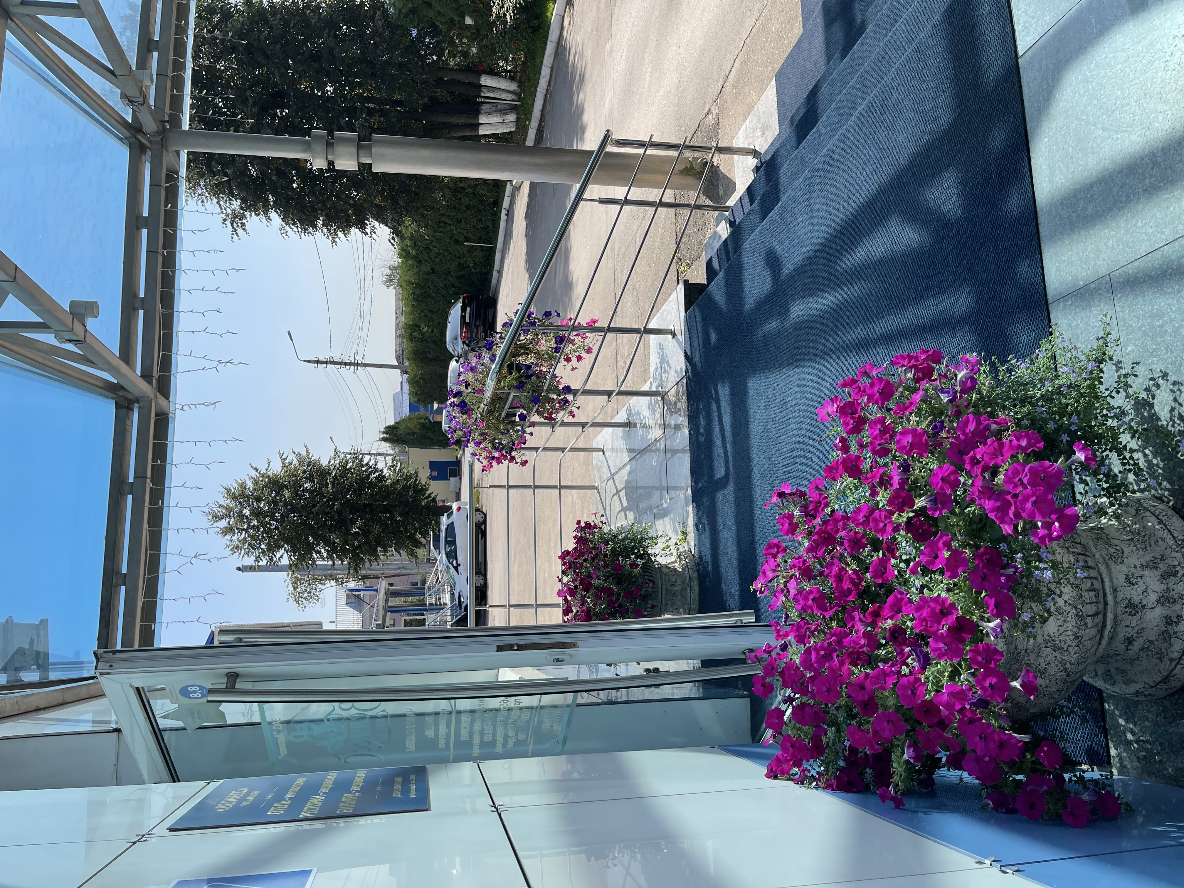 Фото Велнесс