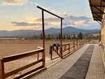 Ekoterra Horse and Riding Club (İstanbul, Kağıthane, Sultan Selim Mah., Hümeyra Sok., 6) ، ركوب الخيل
