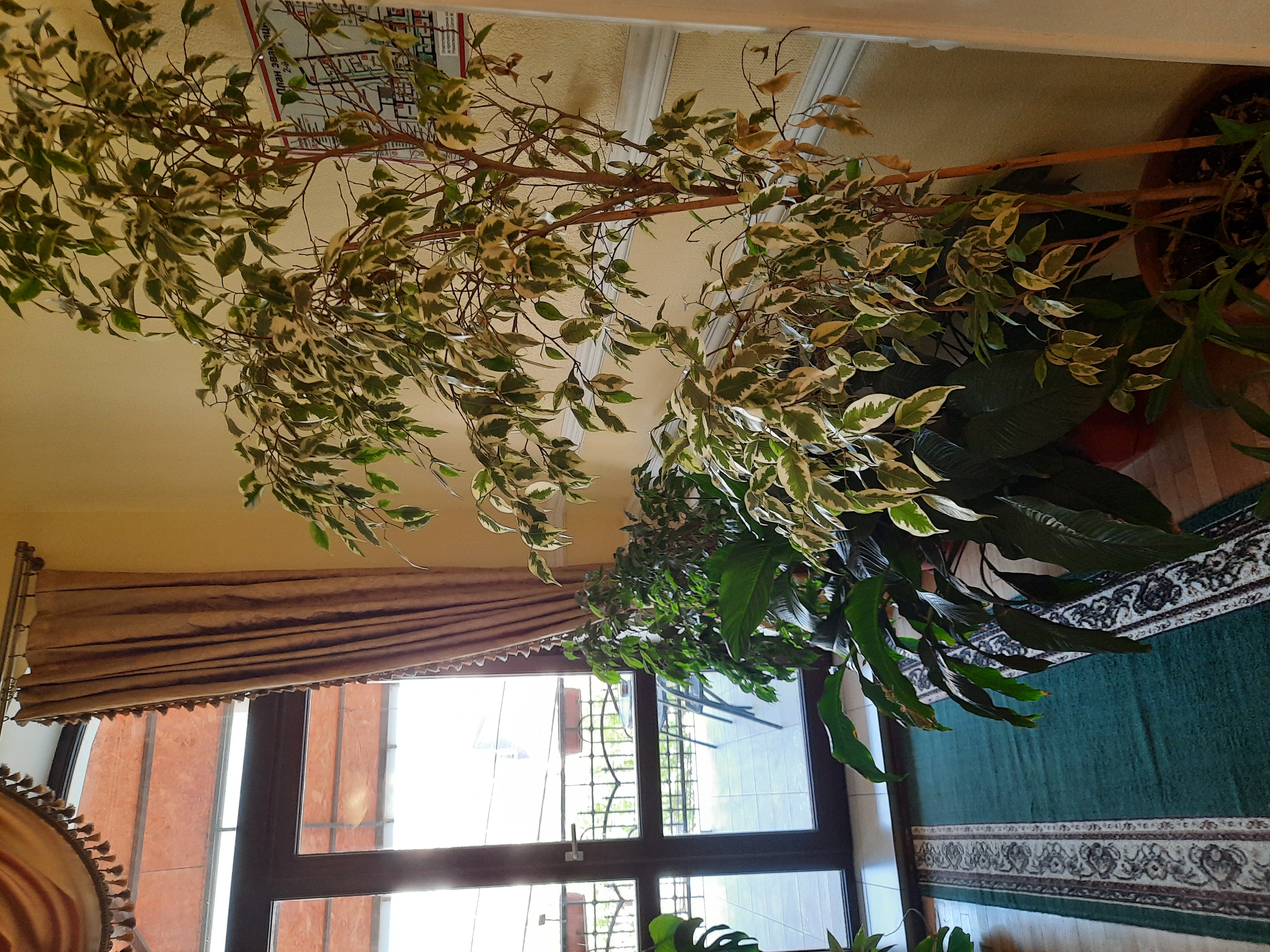 Фото Таврическая