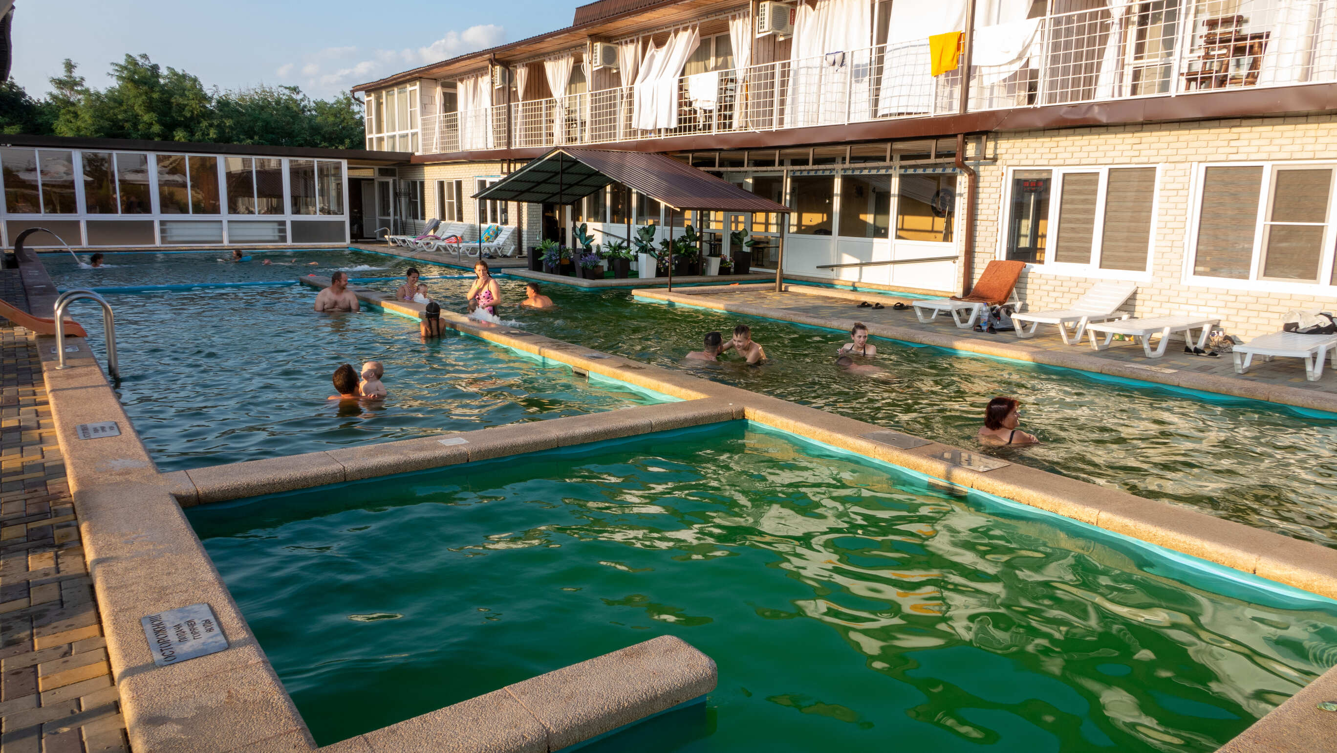 Фото Золотая рыбка