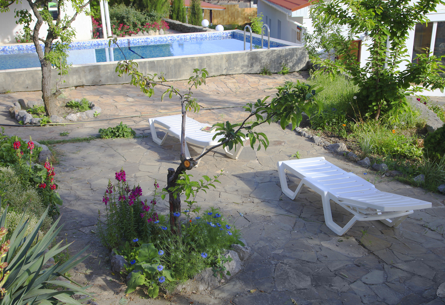 Фото Арпат Зеленогорье