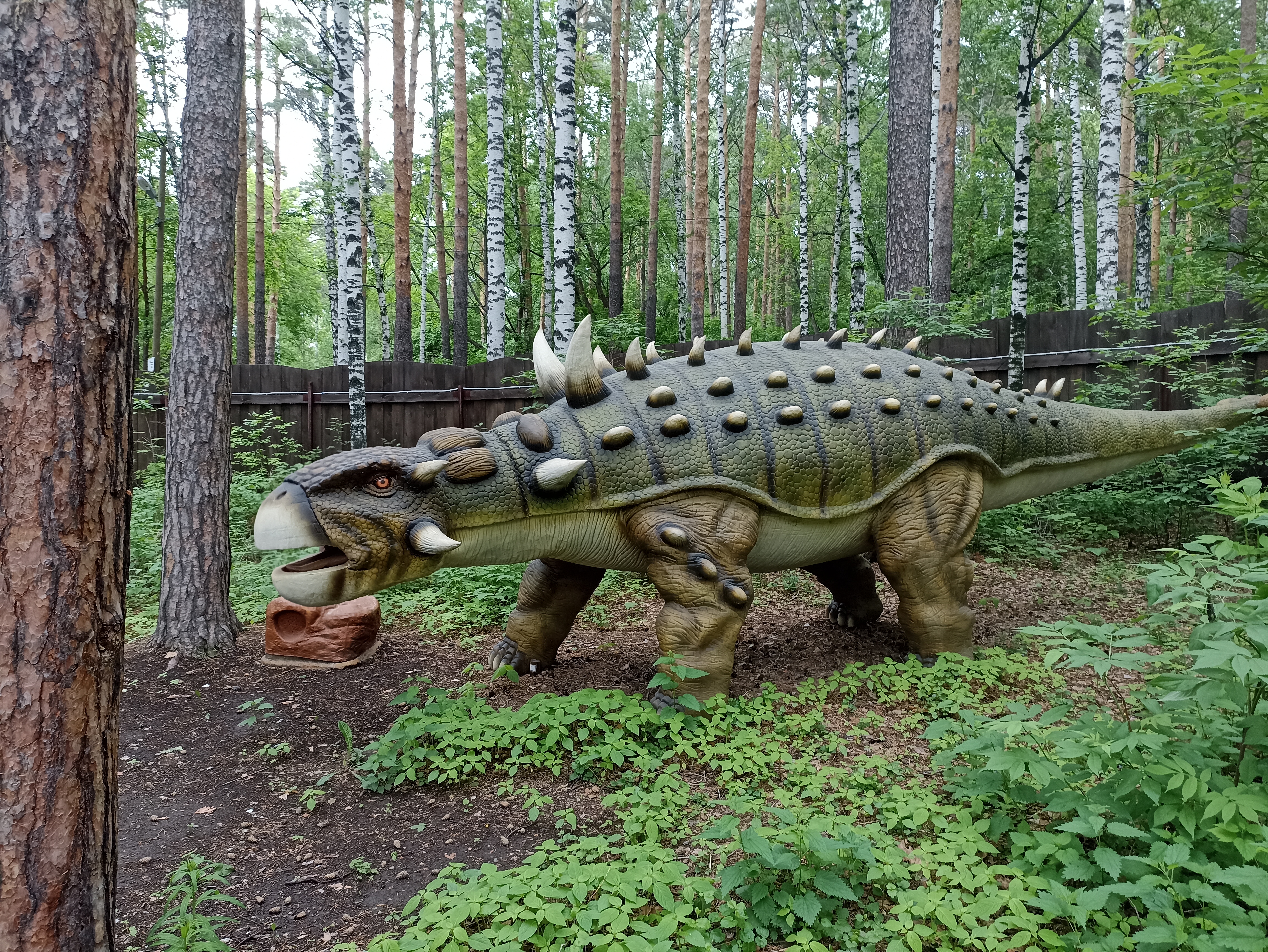 Затерянный мир ул маяковского 2 фото Reviews of Затерянный мир, Sverdlovsk Region, Yekaterinburg, Michurina Street, 2