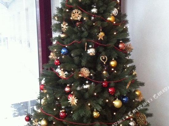 Фото Hotel Hasenmayer