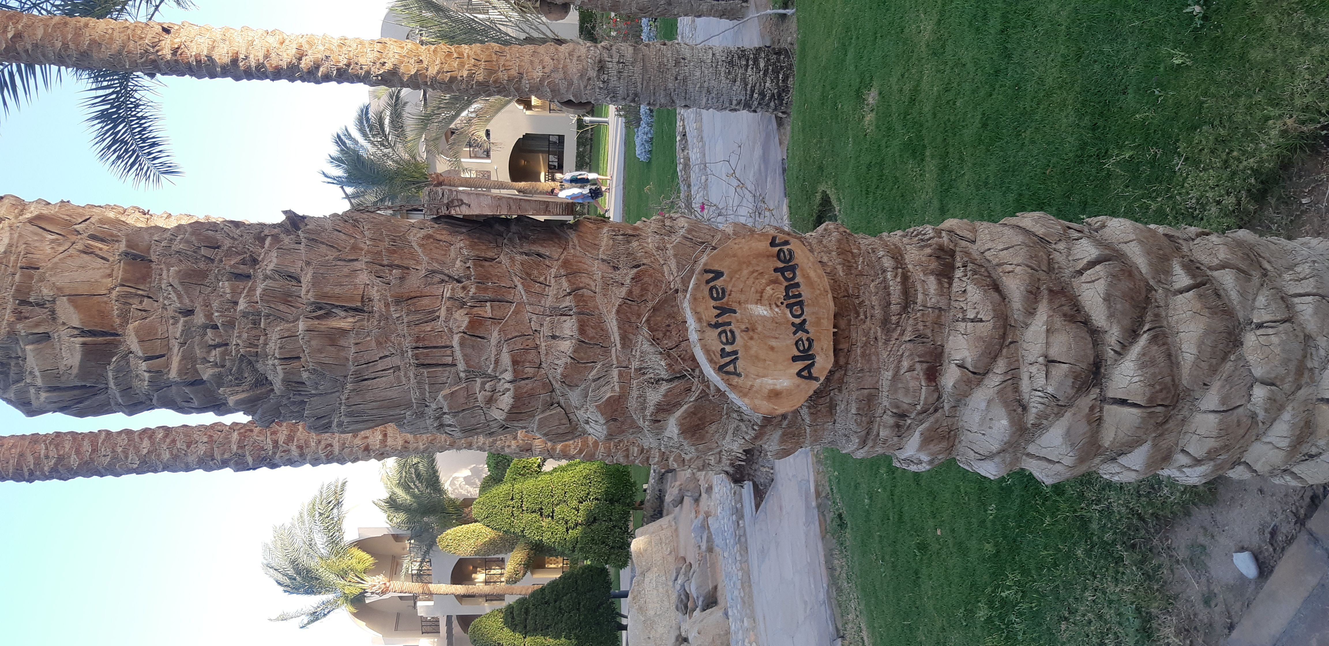 Фото Джаз Макадина