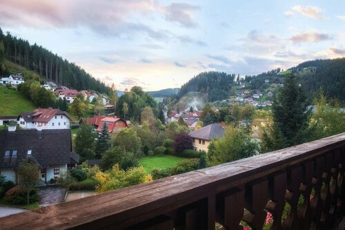 Гостиница Alpenpension Weltsprachen в Штирии