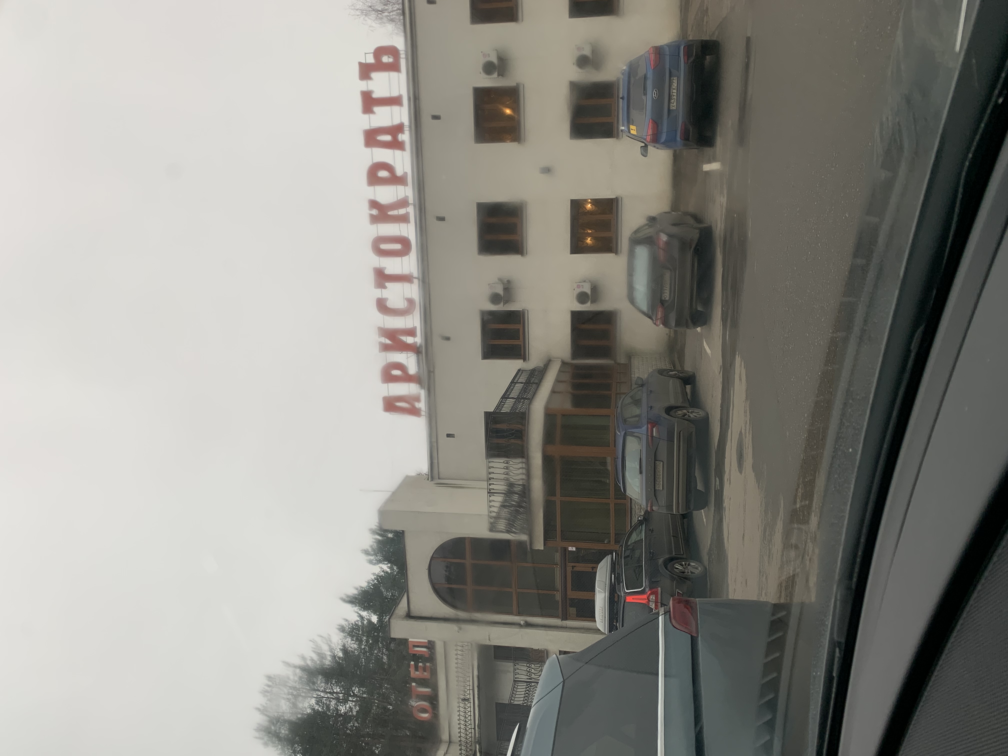 Фото Аристократ