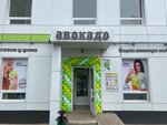Avokado (Naberezhnye Chelny, Kol Gali Boulevard, 4Б) ، محل بقالة