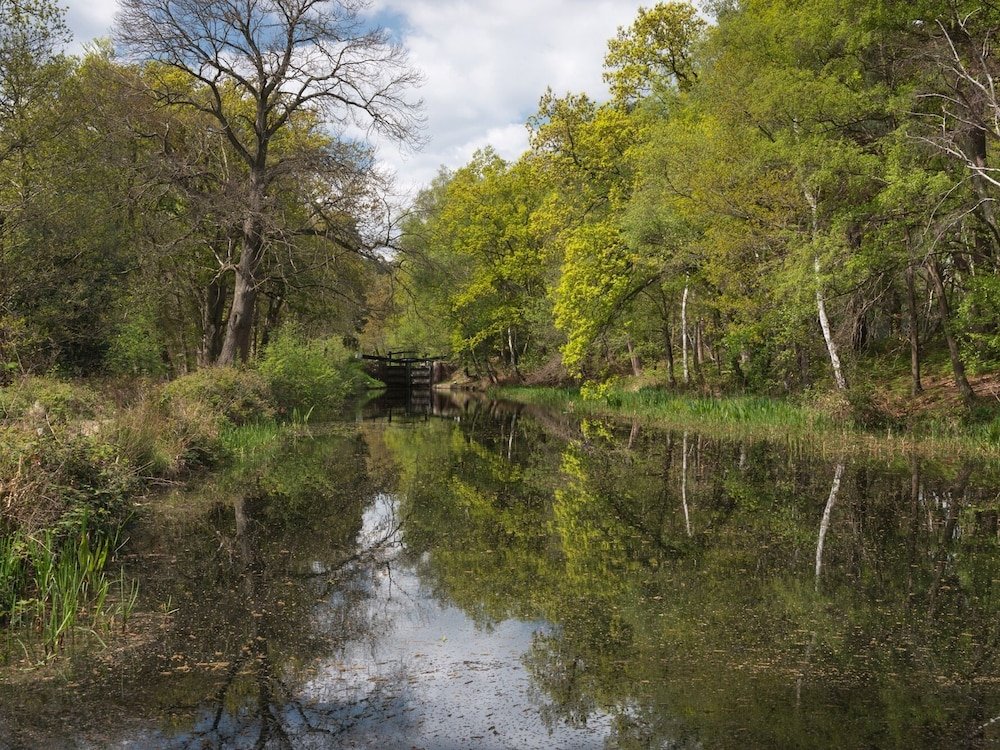 Фото Oakdale at Abingdon Court