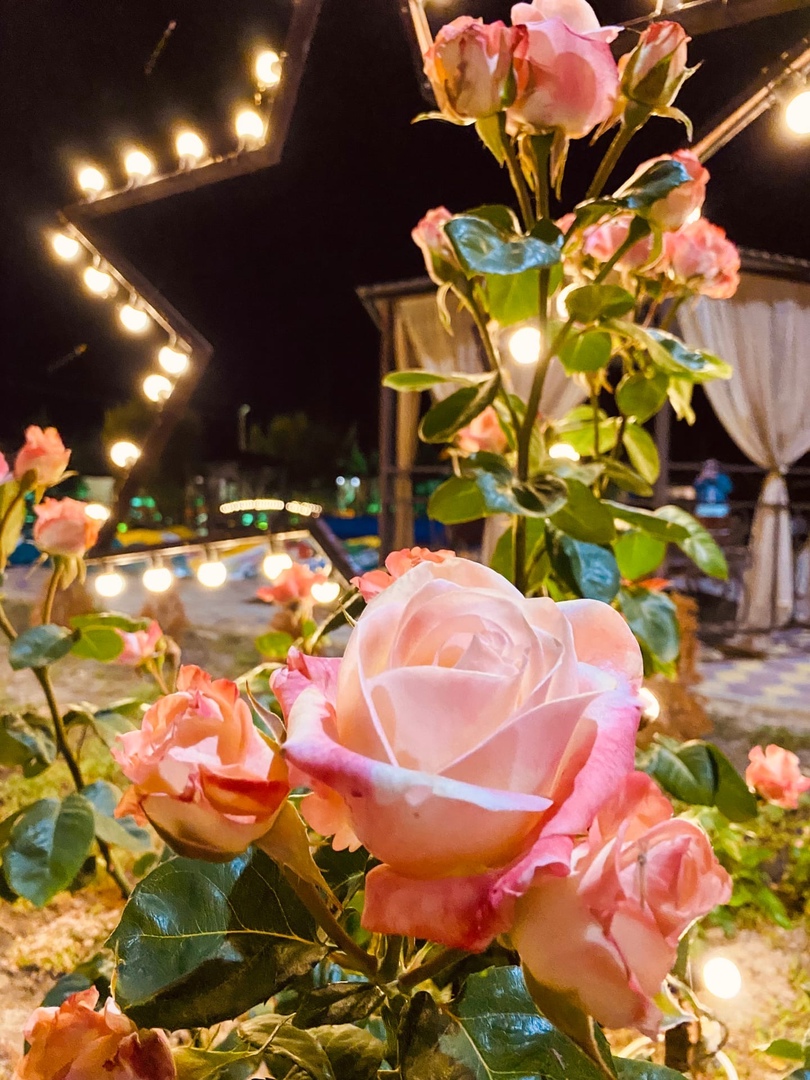 Фото Альтаир