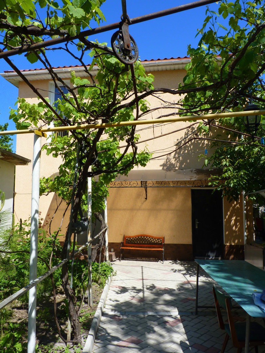 Фото Виноградная лоза