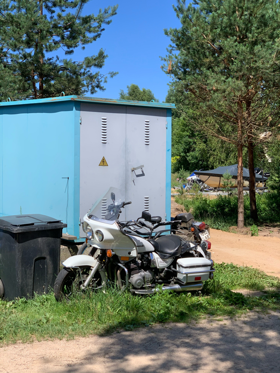 Фото Веточка