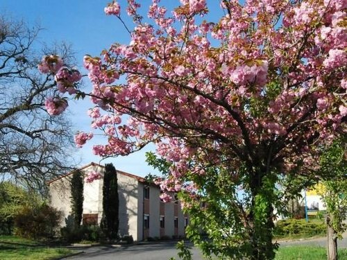 Гостиница Hotel du Lac в Альби