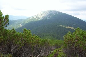 Гора Высокая (Ивано-Франковская область, Рожнятовский район), горная вершина в Ивано‑Франковской области
