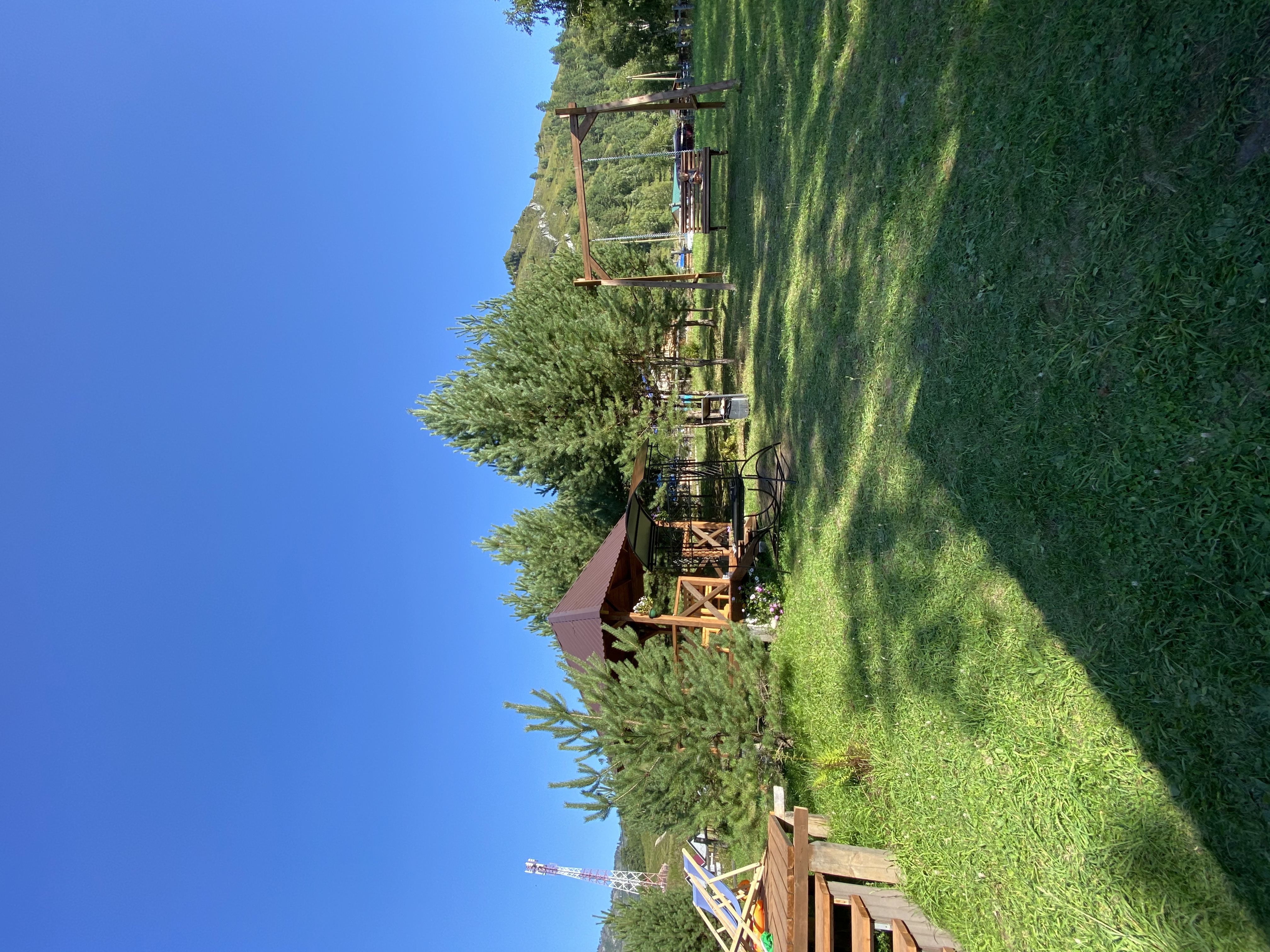 Фото Шишкин лес