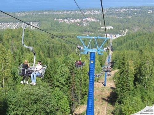 Фото Береза