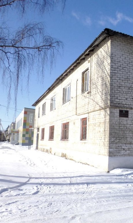 Фото Базилик