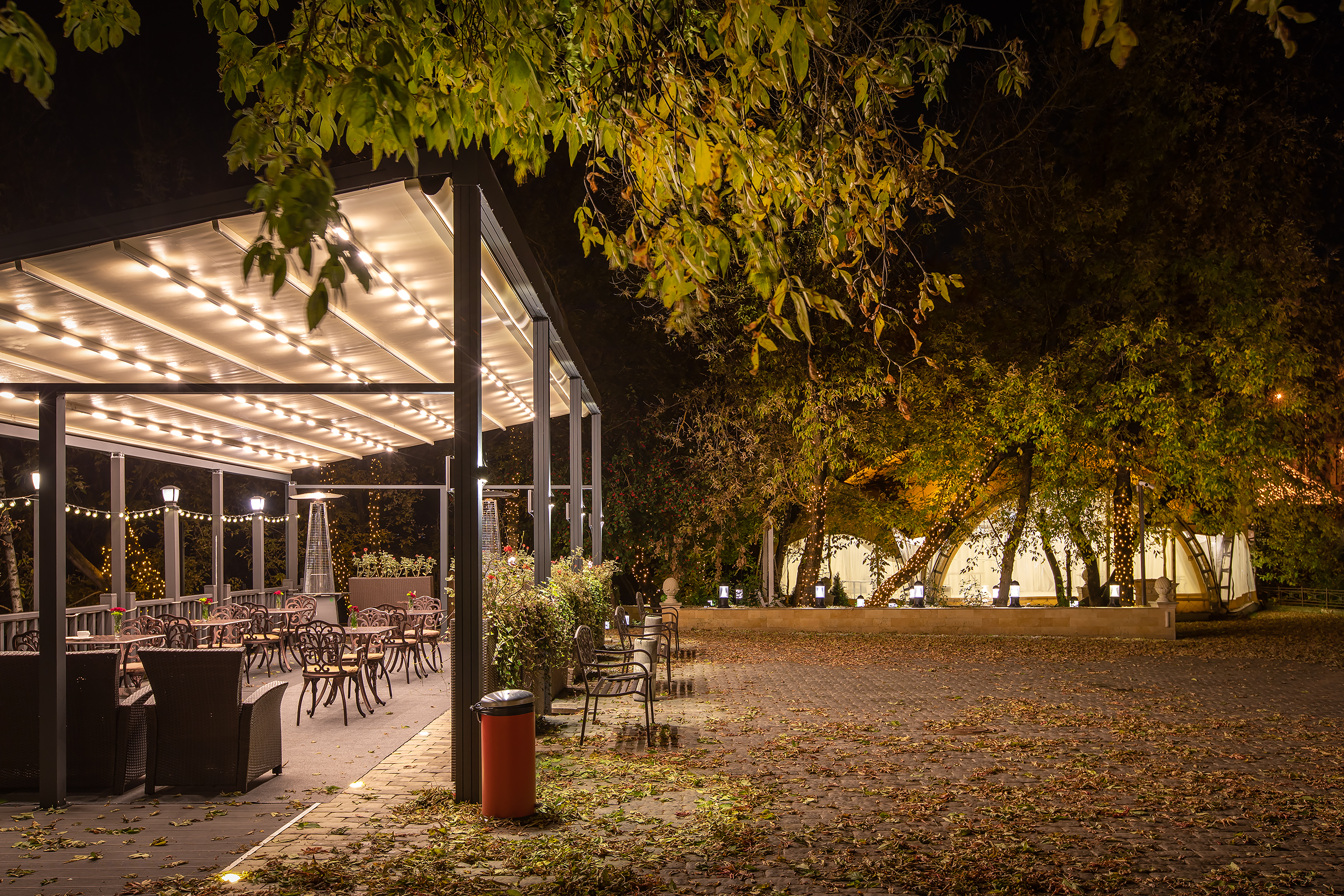 Фото Клевер