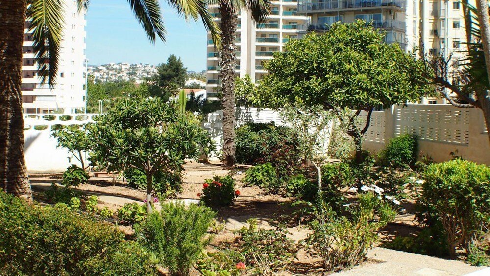 Фото Apartamentos Esmeralda Suites