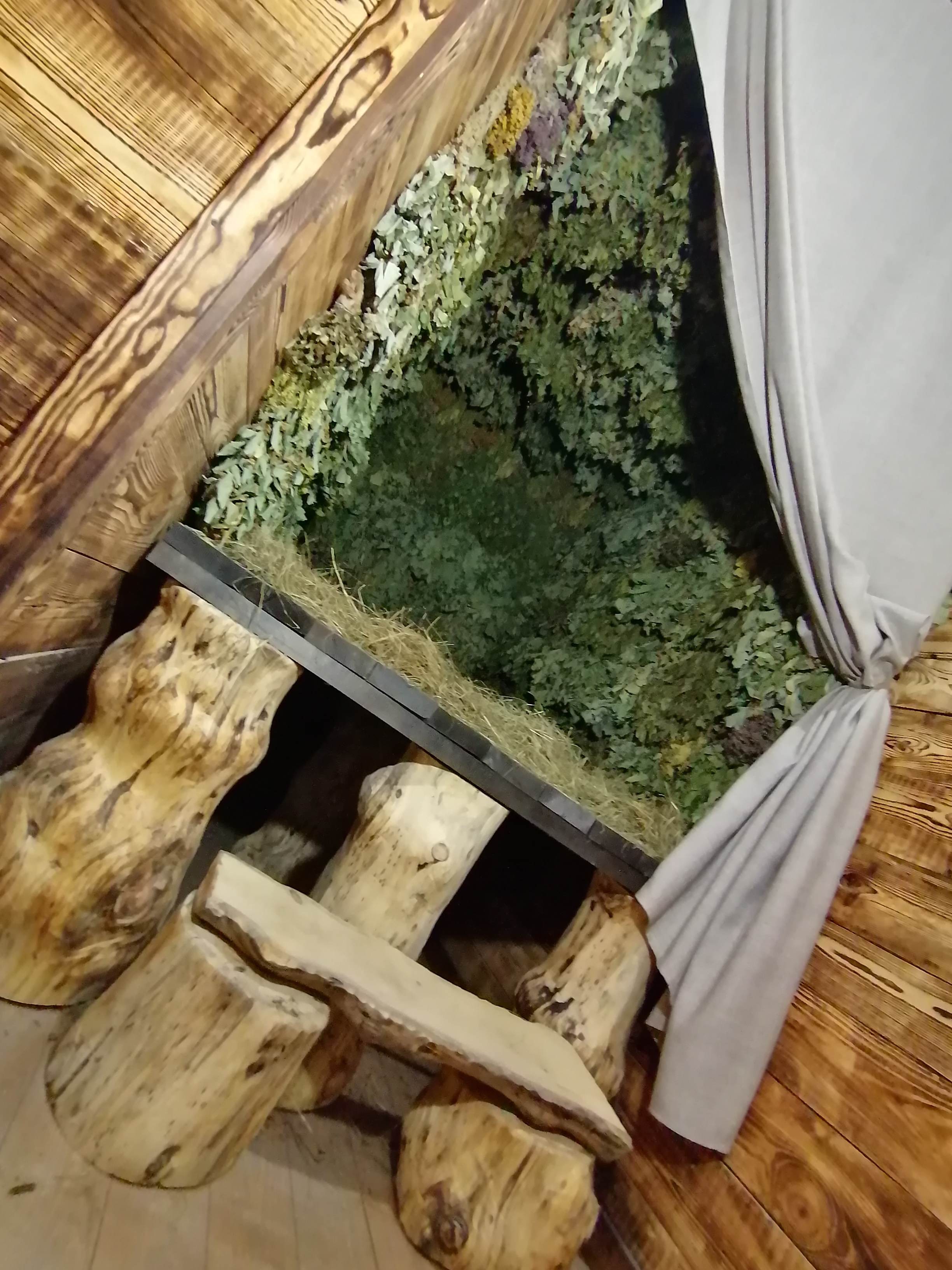 Фото ПроЛес