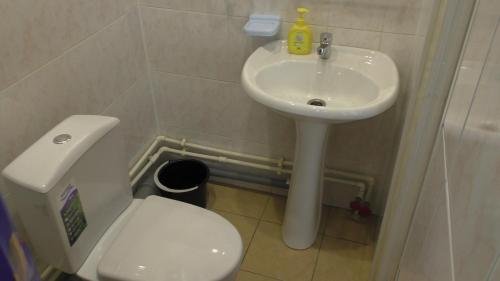 Фото Авиатор