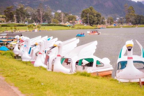 Фото Forest View Lodge