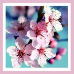 Aura Graph (Giugliano in Campania, Via Selva Piccola, 25), printing services