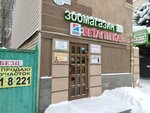 Татошка (Krasnoarmeyskaya Street, 119), pet salon