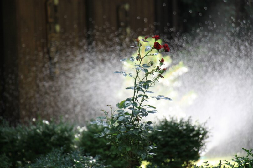 Фото Art Hotel Koktebel Apartments