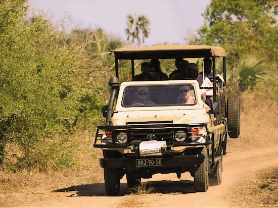 Фото Montebelo Gorongosa Lodge & Safari