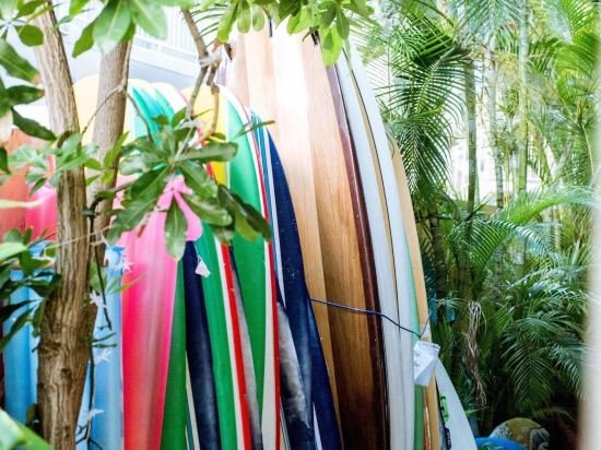 Фото Polynesian Beach Club Hostel