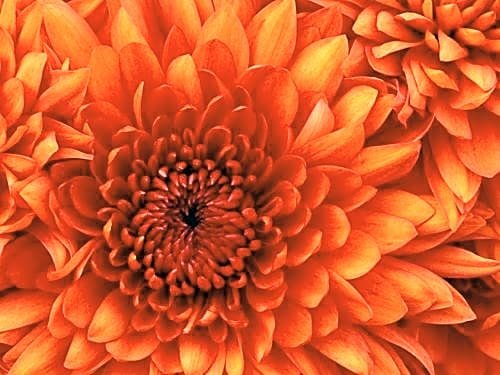 Фото Atlantis Inn