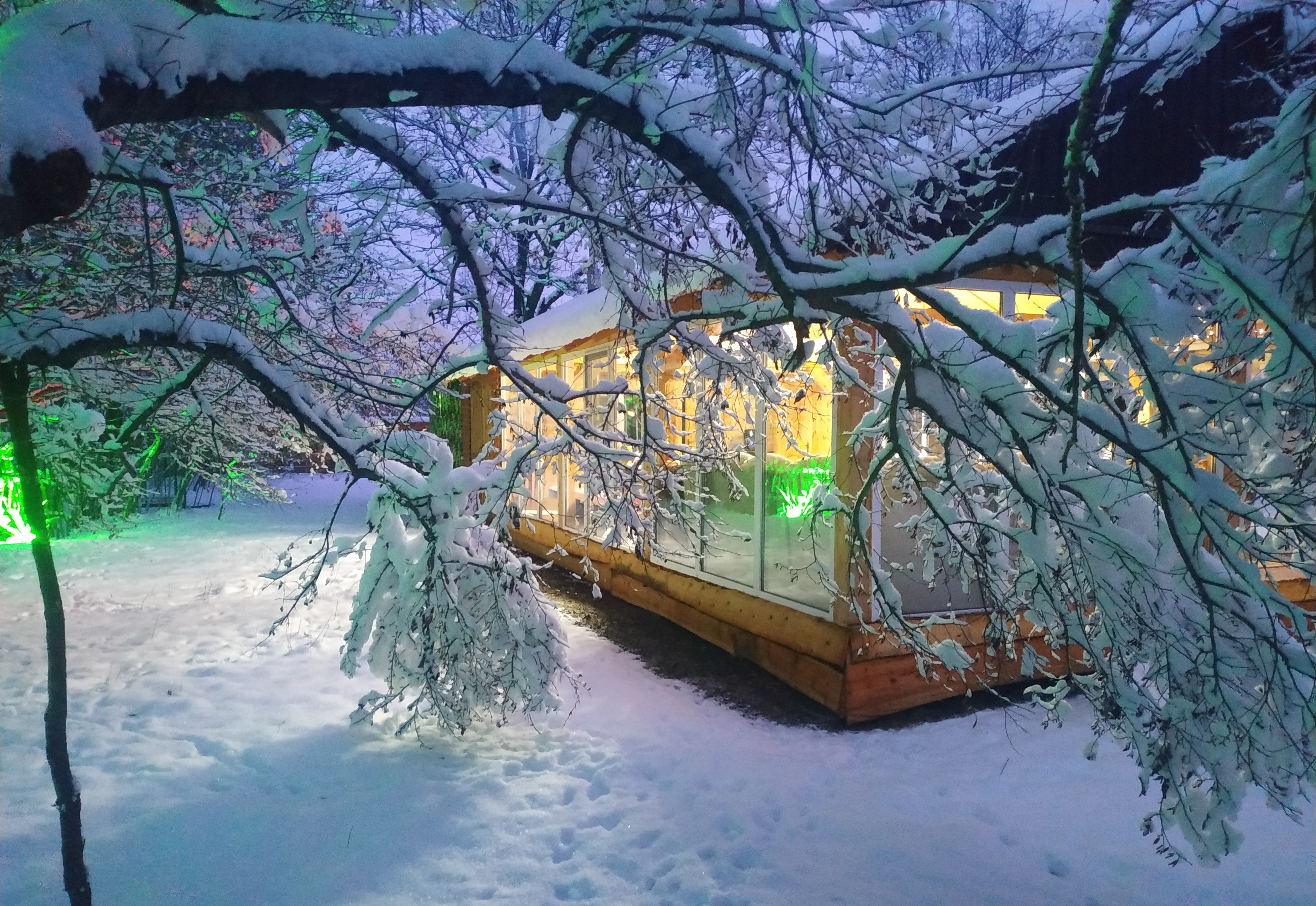 Фото Медвежий угол