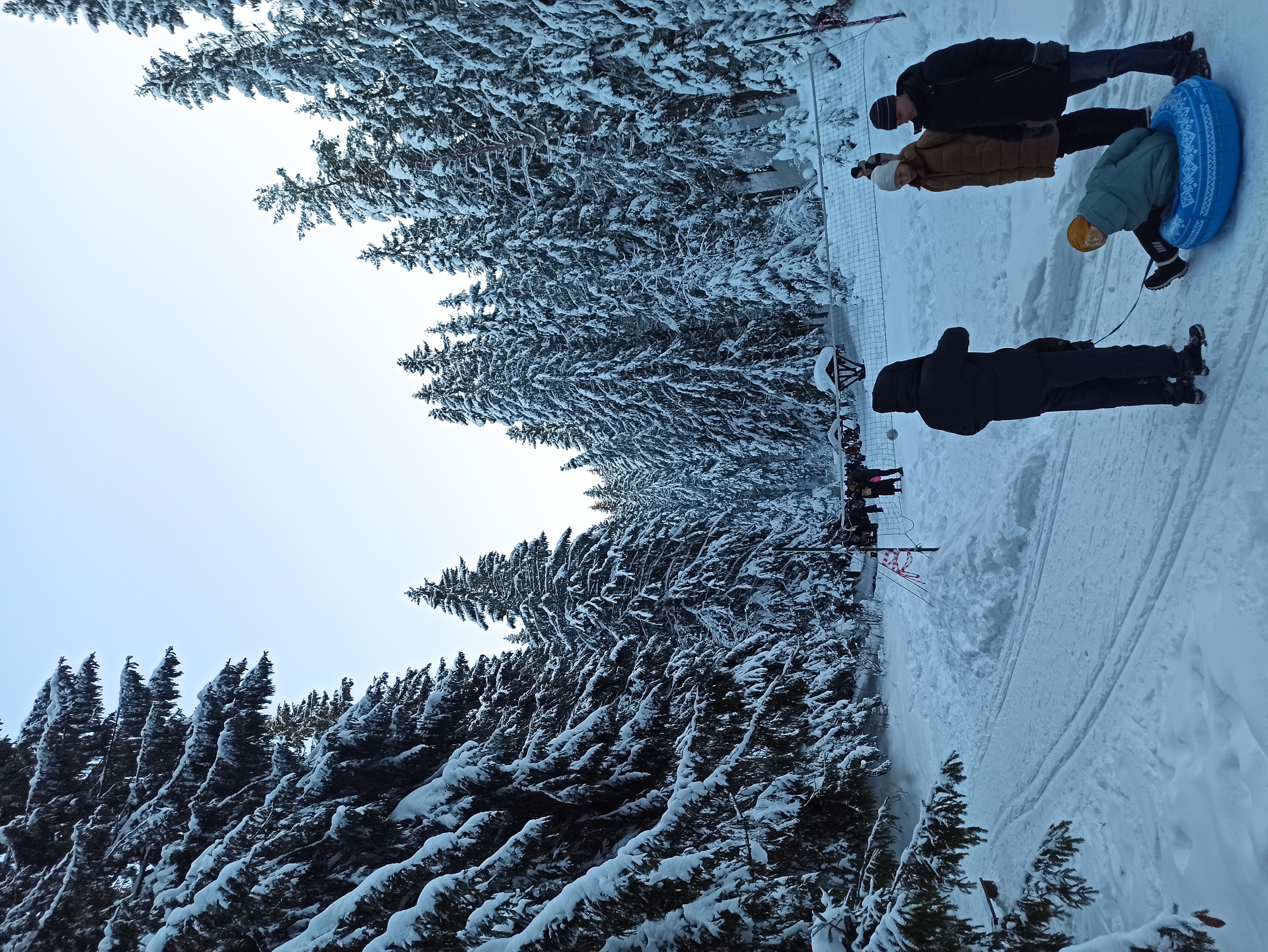 Фото Динамо