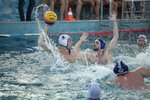 Федерация водного поло (улица Вакуленчука, 7А), sports association