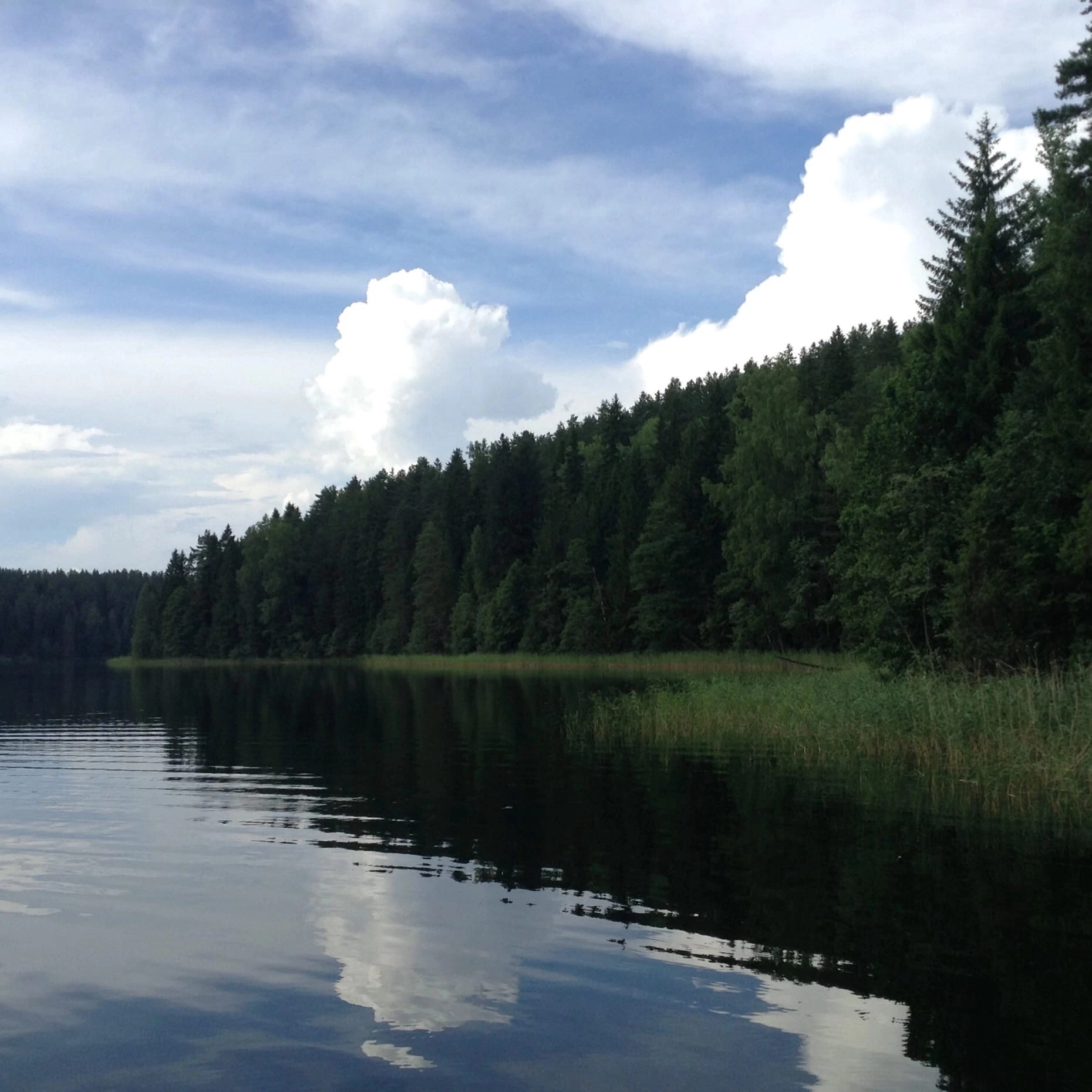 Фото Берендеево царство