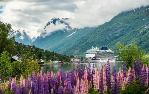 Гостиница Nesset Fjordcamping в Согн-ог-Фьюране